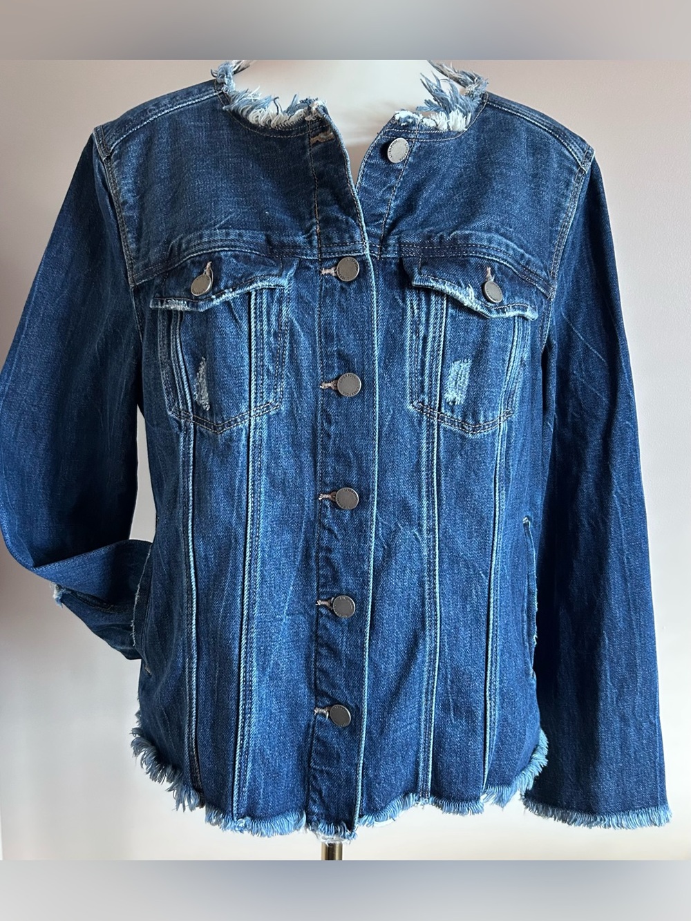 Liverpool Los Angeles Distressed Denim Jacket with Braided Detailing